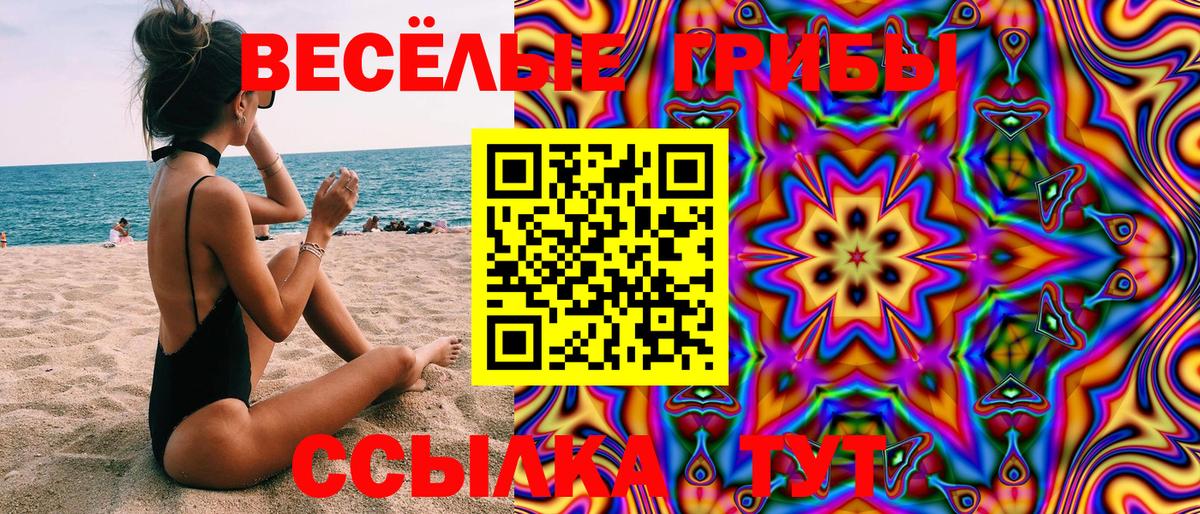 Псилоцибиновые грибы GOLDEN TEACHER  Вход с VPN  Псилоцибиновые грибы ЛСД  Магадан 